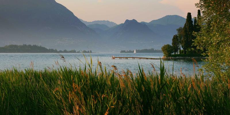 崇尼特 vs 行业三强：自动化设备性能参数深度横评，谁主沉浮？