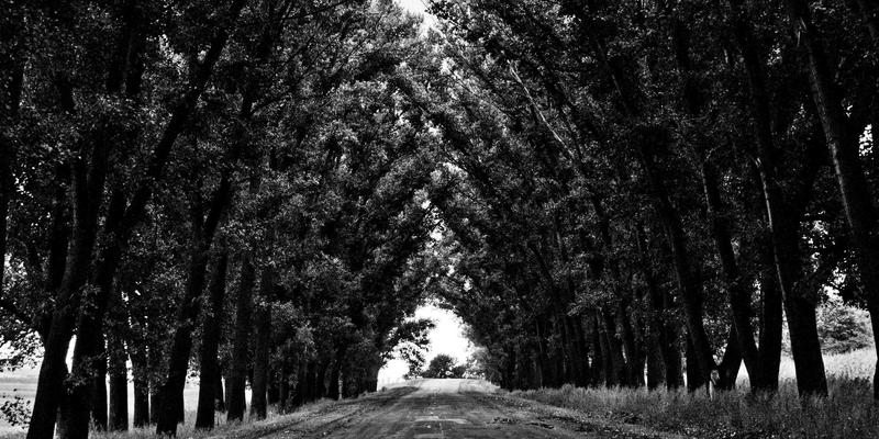 精度不妥协：揭秘崇尼特高刚性机床结构设计与智能热补偿技术如何实现全天候稳定加工