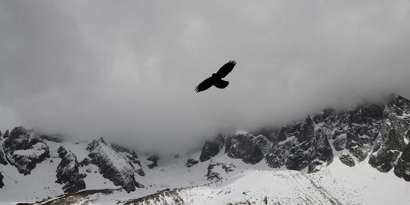虚拟照进现实：崇尼特数字孪生技术如何重塑自动化产线的全生命周期价值