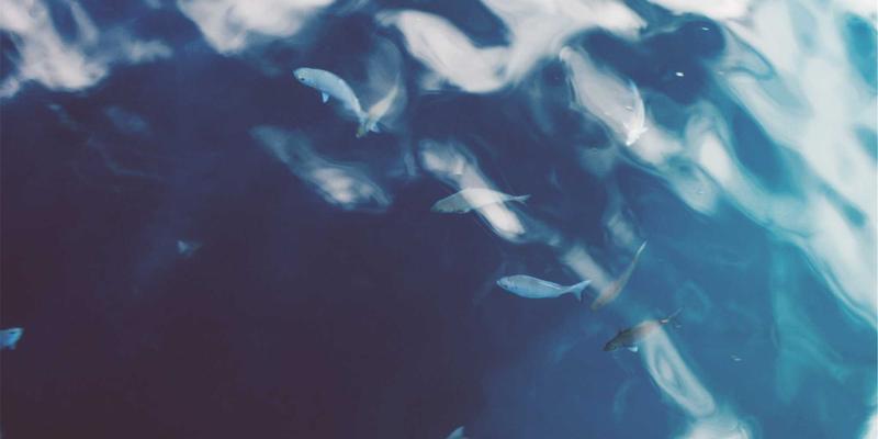 预见未来，智护生产：崇尼特云边协同平台如何重塑工业设备运维新范式