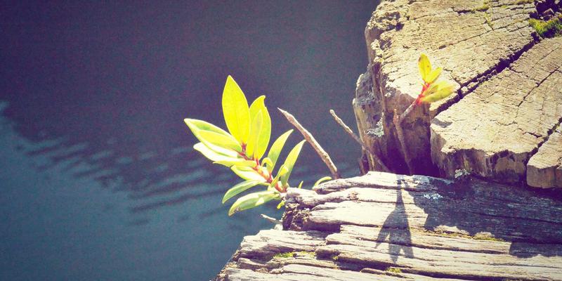 风电大型结构件加工新标杆:崇尼特重型龙门加工中心如何以卓越稳定性与效率破局