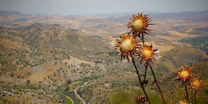 高速高精机床的驱动革命：崇尼特直线电机如何以能效与精度双重优势碾压传统丝杠